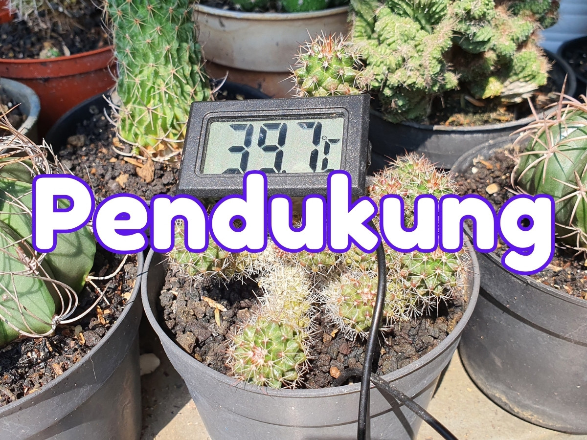 Pendukung